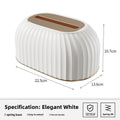 Striped Tissue Box with Spring Base