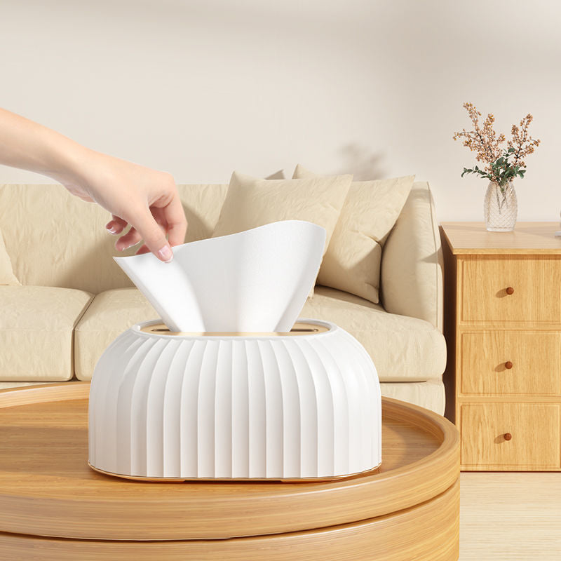 Striped Tissue Box with Spring Base