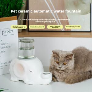 Pet Water Dispenser