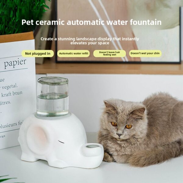 Pet Water Dispenser