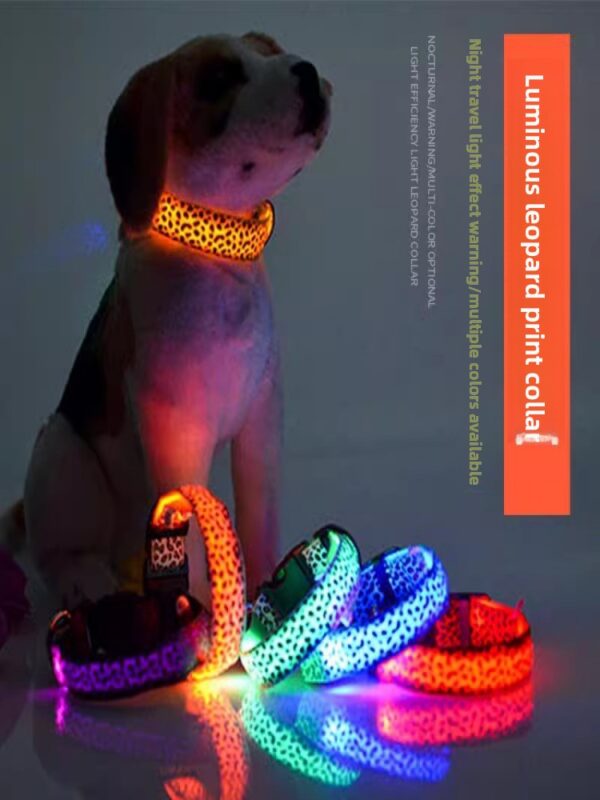 LED Dog Collar