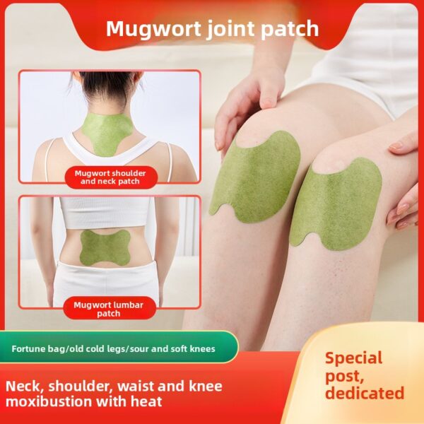 Herbal Medicated Plaster