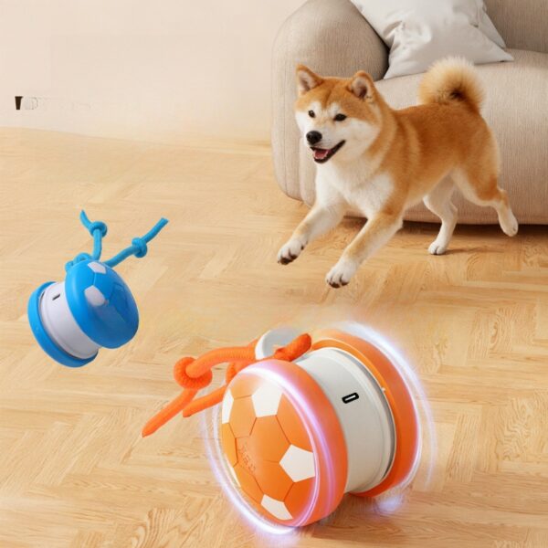 Pet Toy Ball