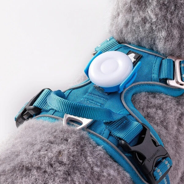 LED Lights Prevent Getting Lost And Emit When Walking A Dog At Night