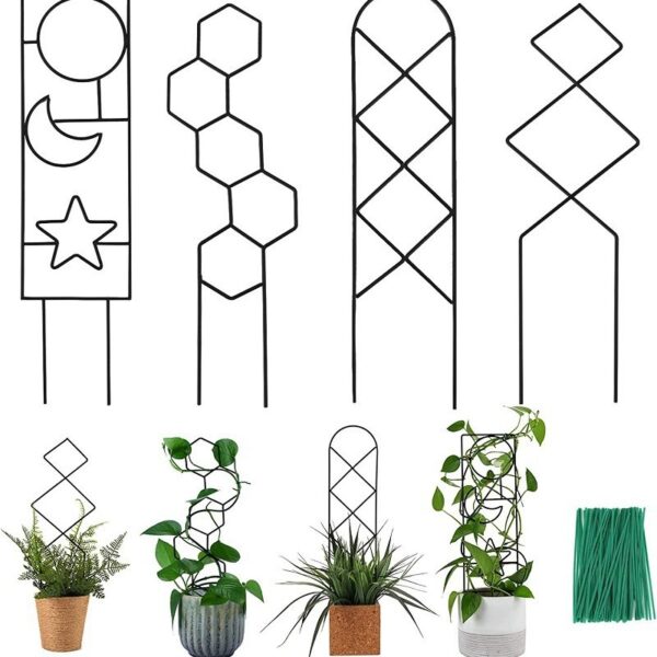 Plants climbing over metal support frames